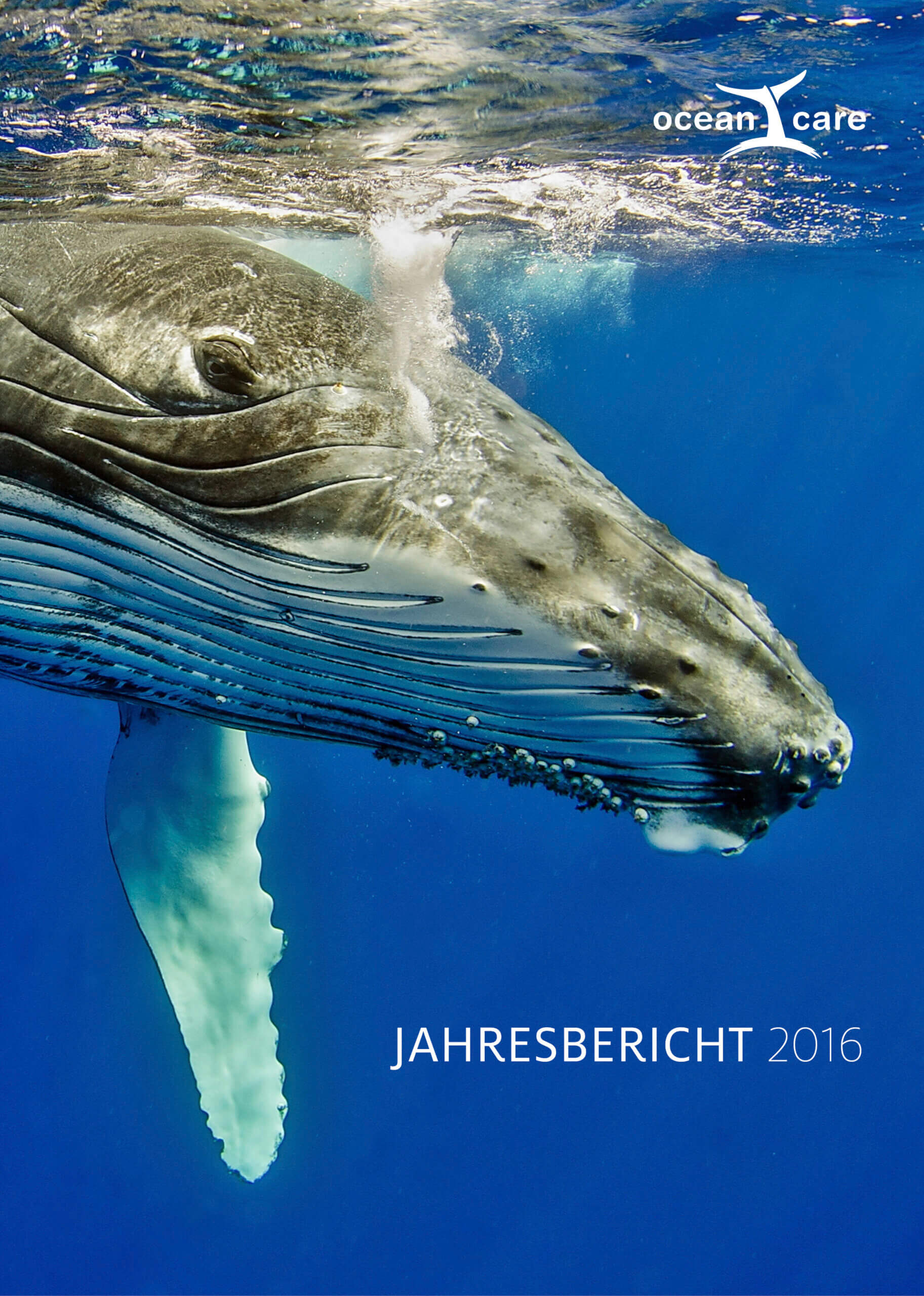OceanCare Jahresbericht 2016 (Cover)
