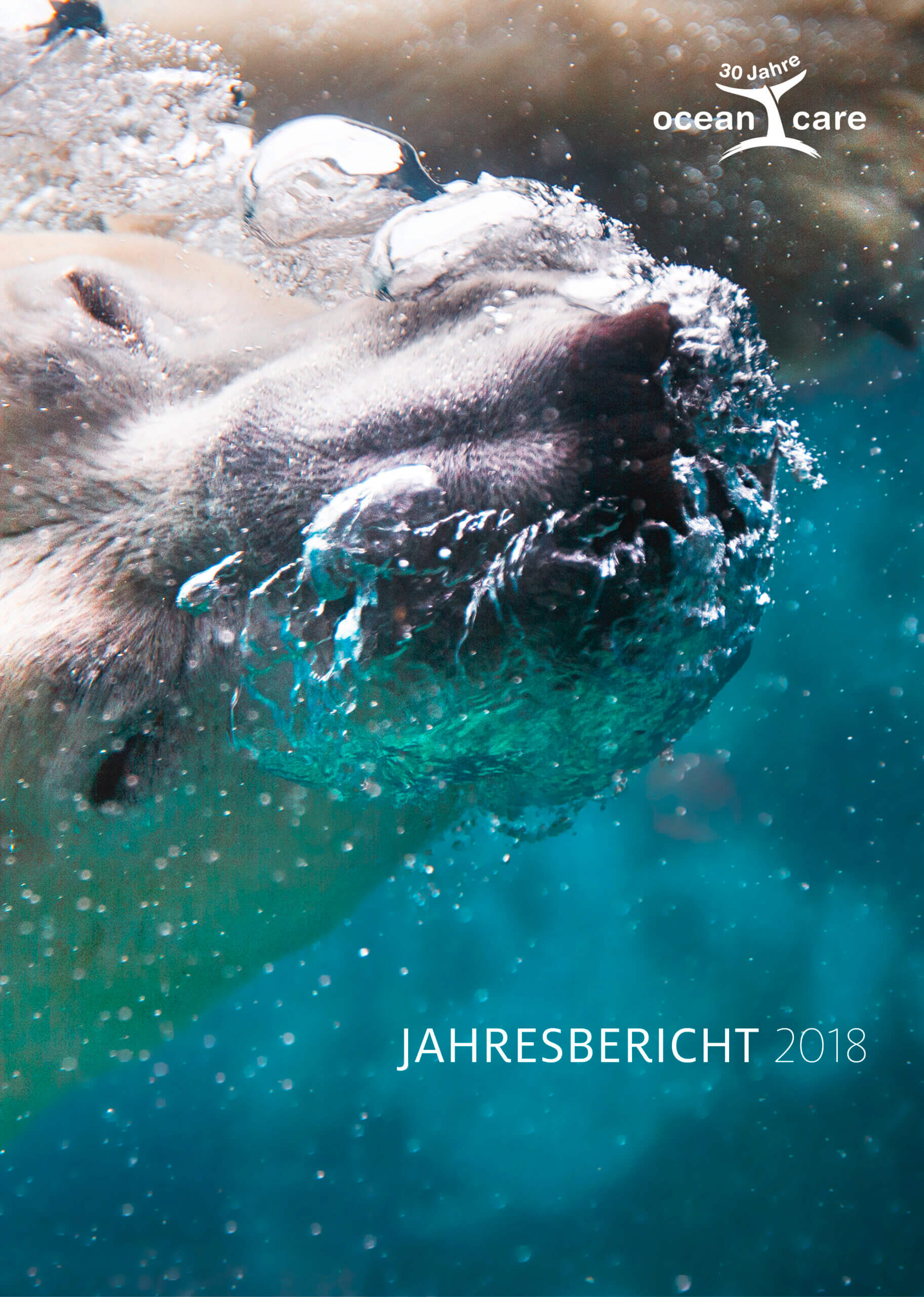 OceanCare Jahresbericht 2018 (Cover)