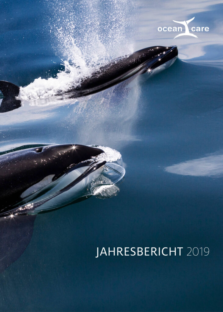 OceanCare Jahresbericht 2019 (Cover)