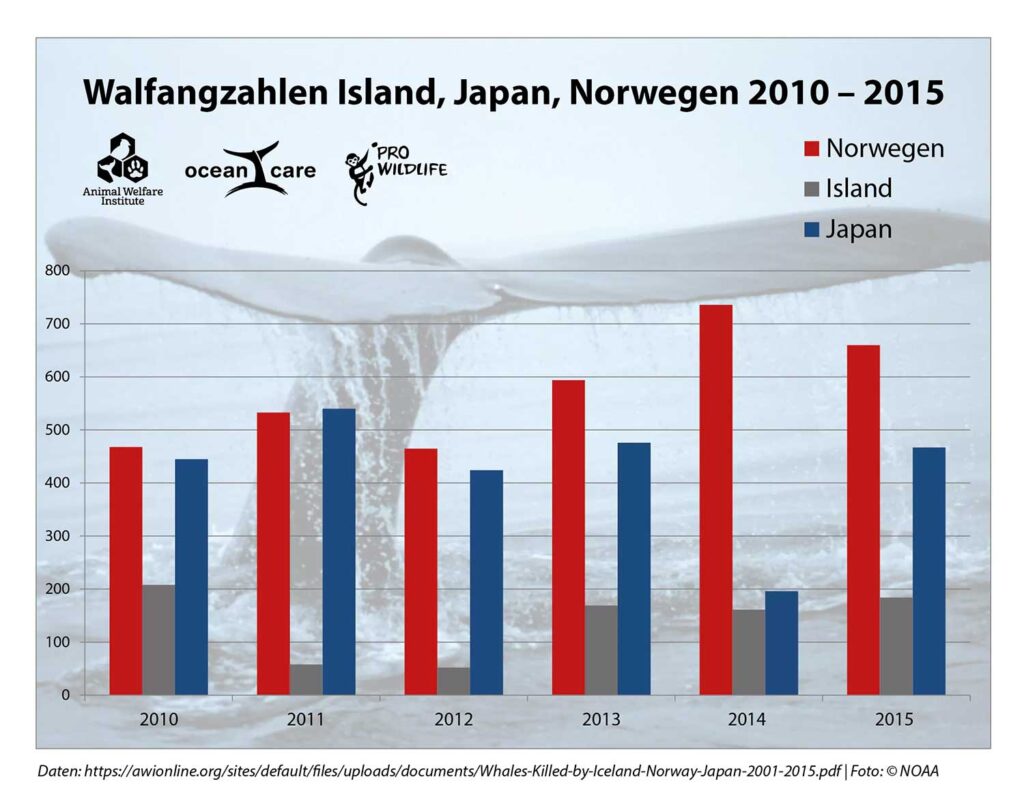 Grafik OceanCare Walfang Island/Japan/Norwegen