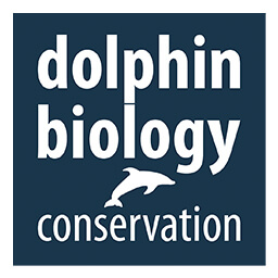 <a href="http://www.dolphinbiology.org/">TO WEBSITE</a>