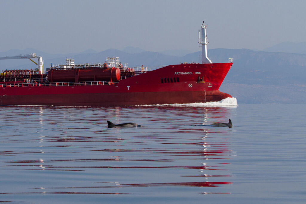 Unterwasserlärm: Delfine um Frachtschiff