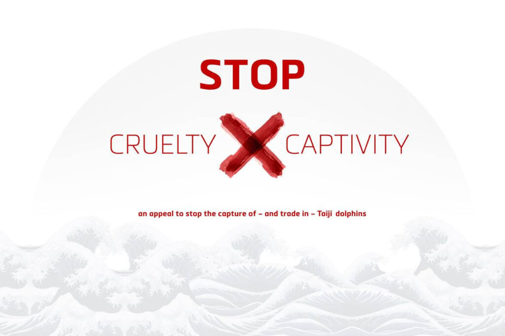 Delphintreibjagd Japan: Kampagnenlogo OceanCare 2014