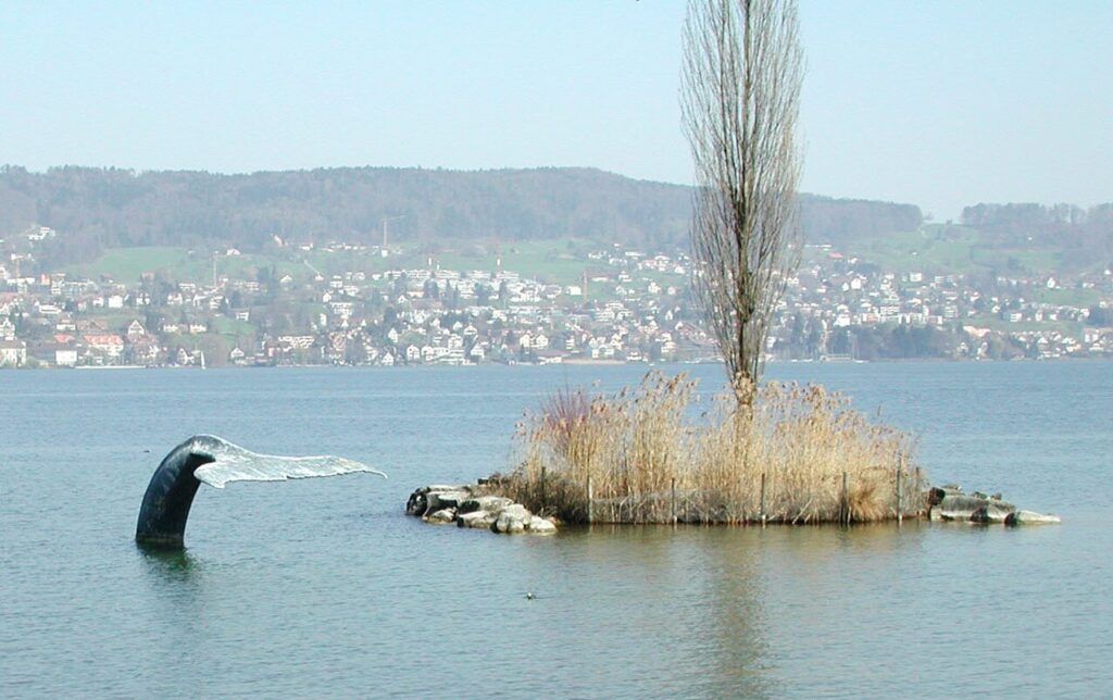 Walfluke im Zürichsee - Geschenk vom Verkehrshaus Luzern