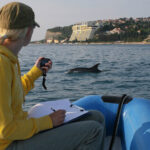 Morigenos Delfinforschung Volunteer