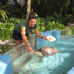 Olive Ridley Project_Claire Petros_Tierrettung Meeresschildkröten