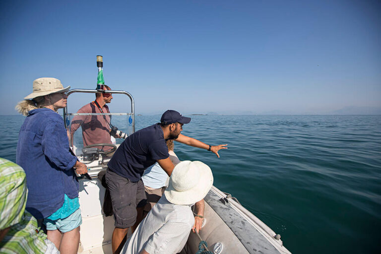 Dolphin research expeditions off the coast of Slovenia