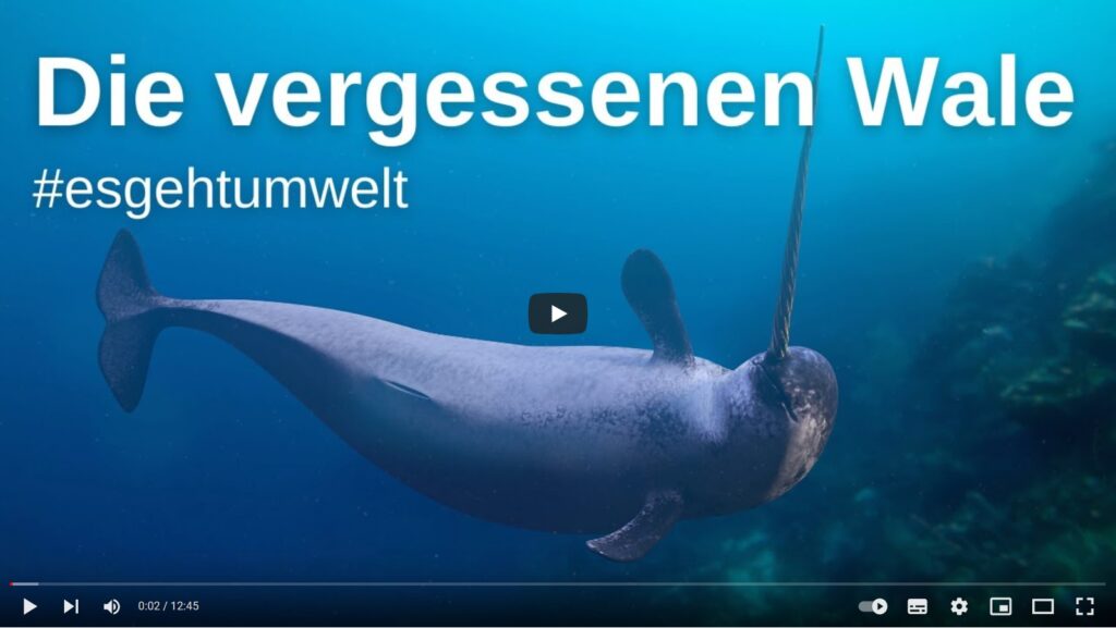 Screenshot Blog_ne_Die vergessenen Wale