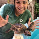 Olive Ridley Project: Rettung Meeresschildkröten STRA