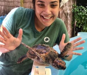 Olive Ridley Project: Rettung Meeresschildkröten STRA