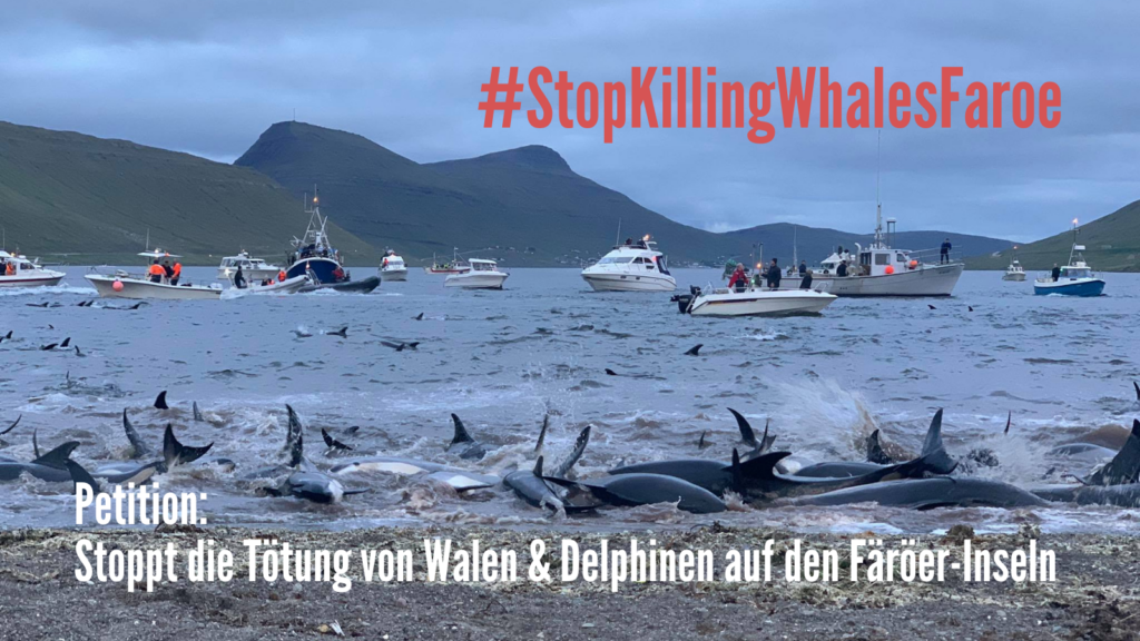 OceanCare Petition Grindwal-Jagd Färöer-Inseln DE