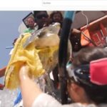 Screenshot YouTube Video ORP Meeresschildkröten-Rettung