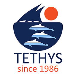 Logo Tethys Research Institute