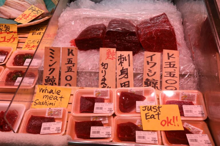 Walfleisch Japan