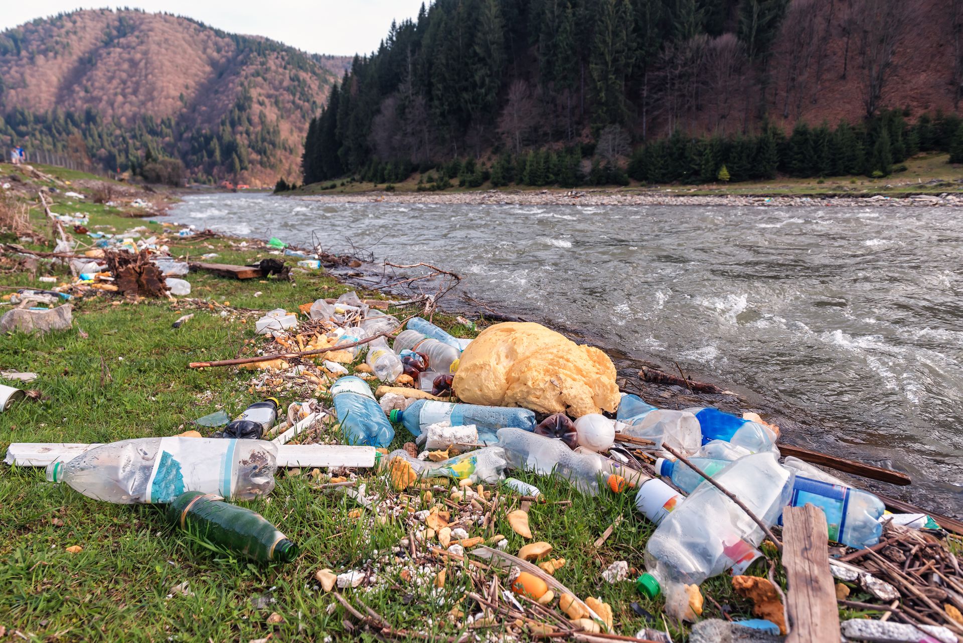 Plastikmüll am Fluss