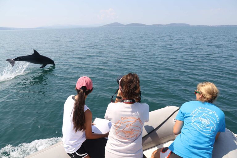Research expedition Dolphins Greece OceanCare