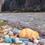 Abfall Natur, Plastik Petition Schweiz, OceanCare