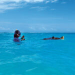 Schwimmversuch mit Meeresschildkröte | OceanCare