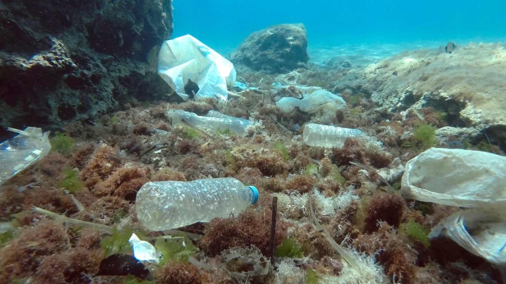 Plastik am Meeresgrund | OceanCare