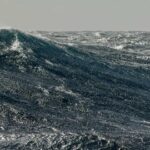Meereswelle | OceanCare